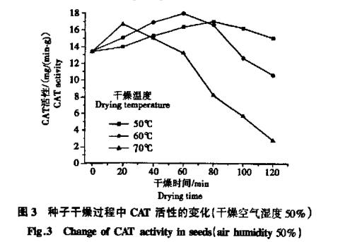 高溫干燥對白菜生命活性變化