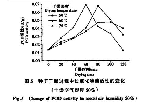 高溫干燥條件對(duì)白菜種子生命物質(zhì)破壞