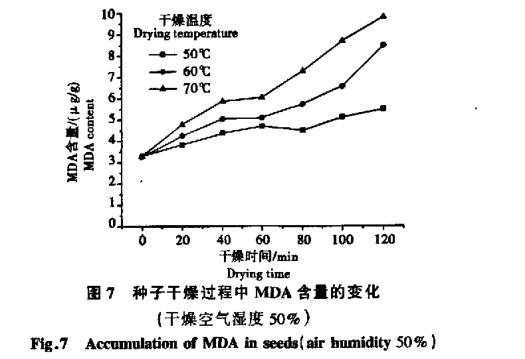 高溫干燥條件對(duì)白菜生命破壞試驗(yàn)